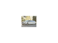 Starlight Limousine (2) - Таксиметровите компании
