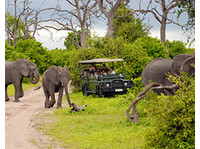 Jewel of Africa Safaris (1) - Travel Agencies