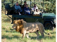 Jewel of Africa Safaris (2) - Agencias de viajes