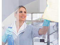 Durban Cleaning Services (2) - Cleaners & Cleaning services
