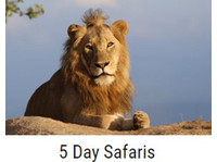 Kurt Safari Company (3) - Agencias de viajes online