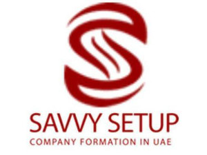 Savvy Setup - Business & Networking