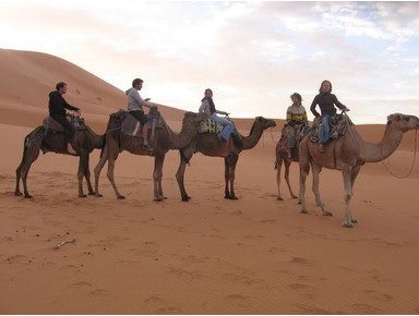 Tour de Camellos por Noche en elDesiertoCameltripsmorocco - Agencias de eventos