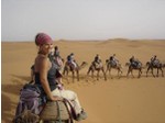 Tour de Camellos por Noche en elDesiertoCameltripsmorocco (3) - Agencias de eventos
