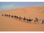 Camel Tour www.Cameltripsmorocco.com (4) - کانفرینس اور ایووینٹ کا انتظام کرنے والے