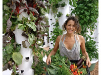 Ibiza Farm S.L. (2) - Organic food