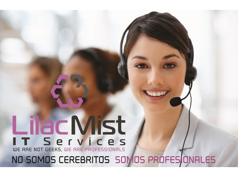 Lilacmist IT Services - Консултантски услуги
