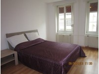 Furnished Corporate Apartments, Basel (3) - Möblierte Apartments
