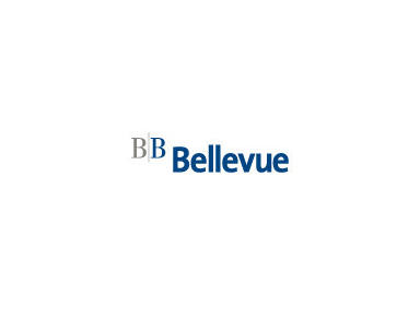 Bellevue Asset Management AG - Investment banks