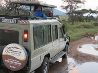 Kilimanjaro Lifetime Adventures and Safaris Limited (8) - Туристически агенции