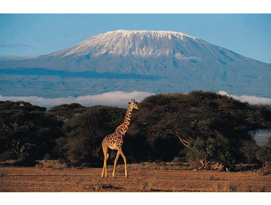 Smart Travel African safaris Ltd - Walking, Hiking & Climbing