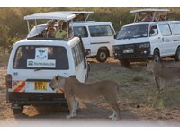 African Home Adventure Safaris - Ceļojuma aģentūras