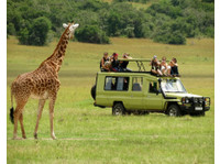 New Sunset Budget Safaris and Travel (5) - Турфирмы