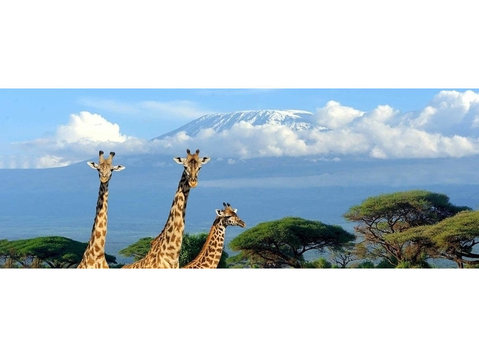 Leisure Travel Holidays Kilimanjaro Ltd - Biura podróży