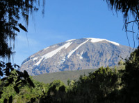Leisure Travel Holidays Kilimanjaro Ltd (1) - ٹریول ایجنٹ