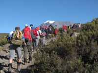 Leisure Travel Holidays Kilimanjaro Ltd (2) - Biura podróży