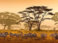 Alaitol Safari (3) - Agenzie di Viaggio