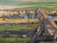 Uphill Treks and Safaris (8) - Agentii de Turism