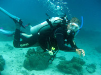 Merlin Divers Phuket (5) - Water Sports, Diving & Scuba