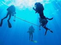 Marmaris Dalış Turu (3) - Water Sports, Diving & Scuba