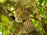 Worthwhile Africa Safaris ltd (8) - Ceļojuma aģentūras