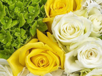 Cedric Amani Flower Trading LLC (6) - Dāvanas un ziedi