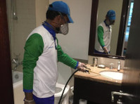Pest Control Disinfection and sanitization Services (4) - Usługi porządkowe