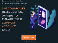 The Controller (1) - Бизнис сметководители