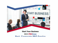 pro pone business hub (1) - کنسلٹنسی
