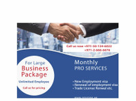 pro pone business hub (2) - Consulenza