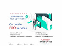 pro pone business hub (3) - Консультанты