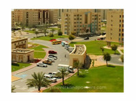 Lucky Movers and Packers in Dubai (5) - Serviços de relocalização