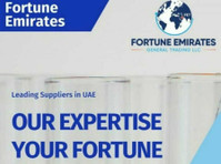 Fortune Emirates General Trading LLC (3) - Tuonti ja vienti