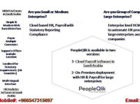 PeopleQlik-#1 HR Software in Saudi Arabia/ Payroll Software (3) - Бизнес и Мрежи