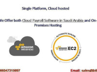 PeopleQlik-#1 HR Software in Saudi Arabia/ Payroll Software (4) - Réseautage & mise en réseau
