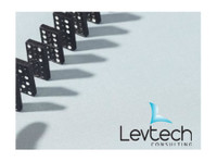 Levtech Consulting Saudi Arabia (2) - Konsultointi