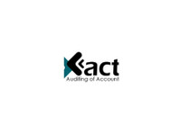 Xact Auditing of Accounts (1) - Бизнис сметководители