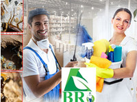 Pest Control Company Abu Dhabi - Bright Rise Pest Services (1) - Уборка