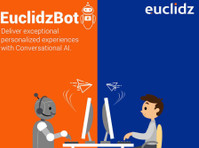 Euclidz Technologies (2) - کنسلٹنسی
