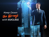 Euclidz Technologies (8) - کنسلٹنسی