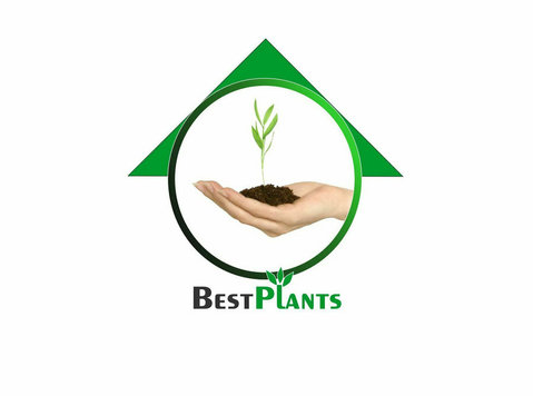 BEST PLANTS - Забавишта