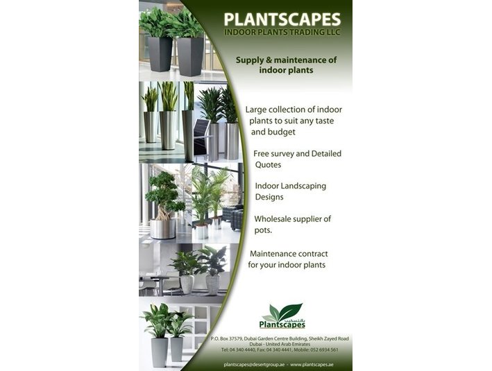 Plantscapes Indoor plants trading LLC - Куќни  и градинарски услуги