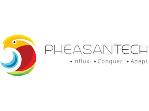 PheasanTech - Webdesign
