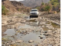 Best Desert Safari in Dubai (3) - Agências de Viagens