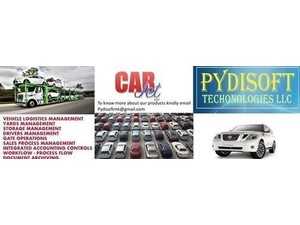 PYDISOFT Technologies LLC - Consultancy