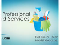 Maids in Dubai (3) - Čistič a úklidová služba