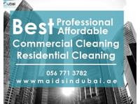 Maids in Dubai (4) - Cleaners & Cleaning services
