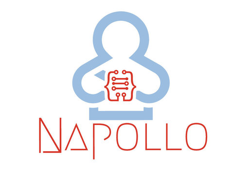 Napollo Software Design L.l.c - Agencias de publicidad