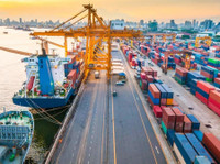AAC Cargo (2) - Importação / Exportação