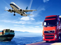 AAC Cargo (6) - Importação / Exportação